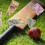 Navigating the Zones of Casual and Professional Betting